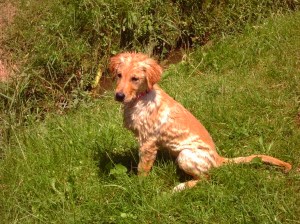 Spring-Summer 2011 080