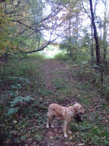 Fall pictures 9-23-11 009